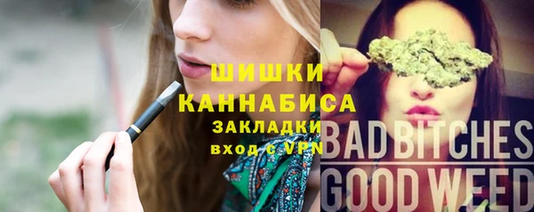 PSILOCYBIN Козельск