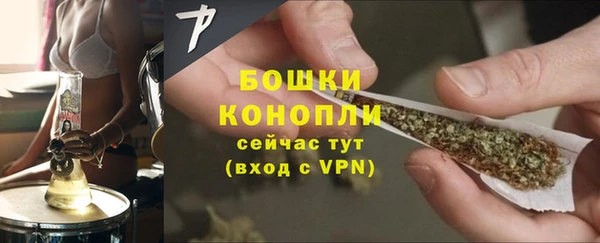 PSILOCYBIN Козельск