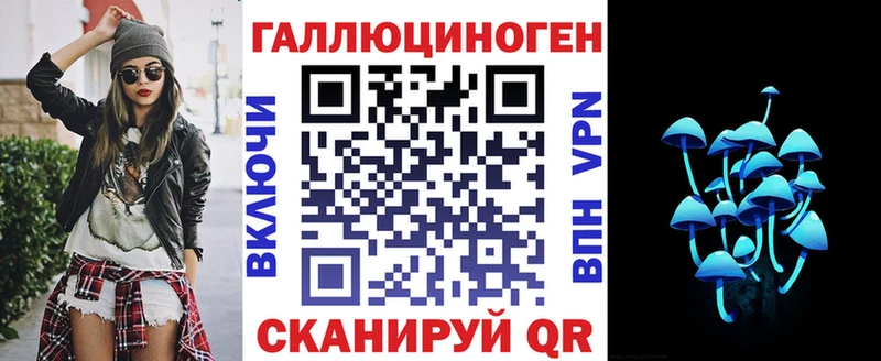 закладка  Ахтырский  Псилоцибиновые грибы Cubensis 